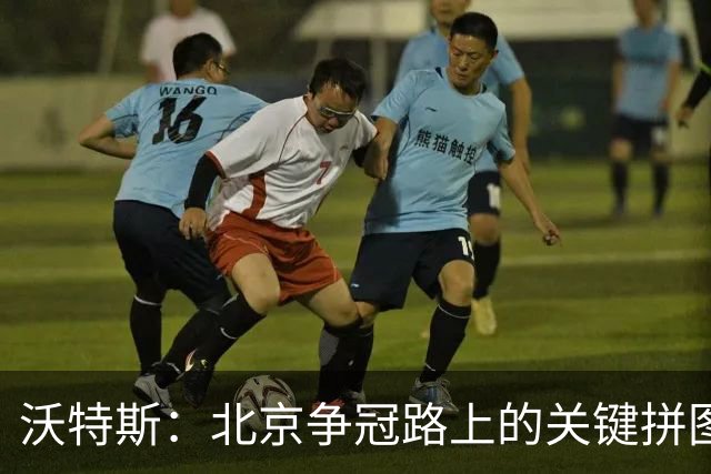 沃特斯：北京争冠路上的关键拼图？